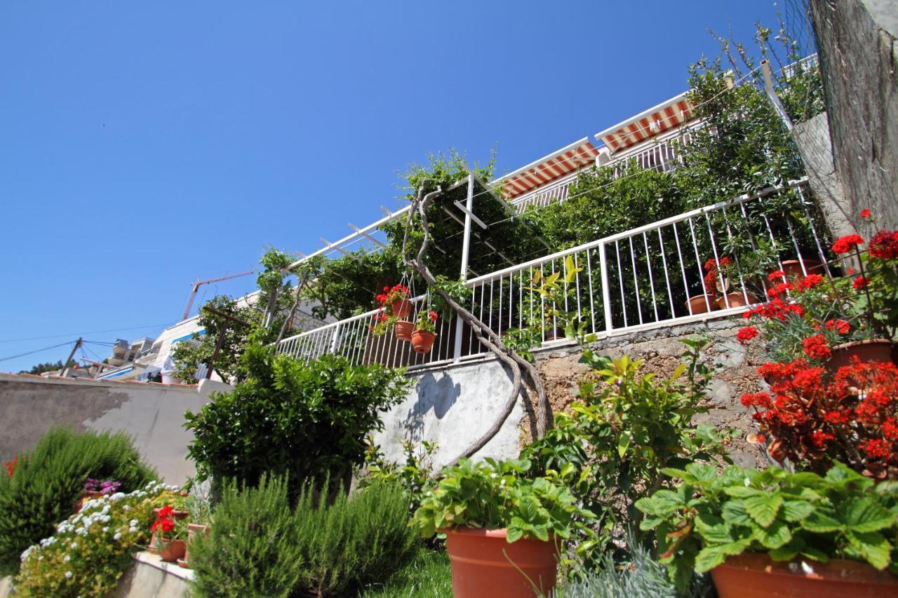 Apartments Ante دوبروفينك المظهر الخارجي الصورة
